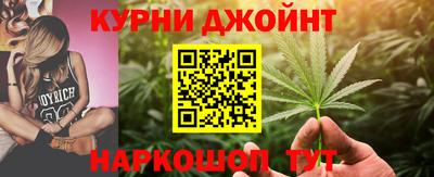 индика Будённовск