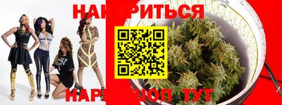 индика Будённовск
