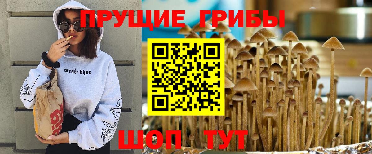 Галлюциногенные грибы Magic Shrooms Октябрьский